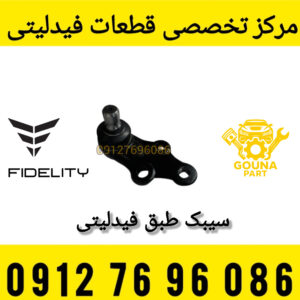 سیبک طبق فیدلیتی