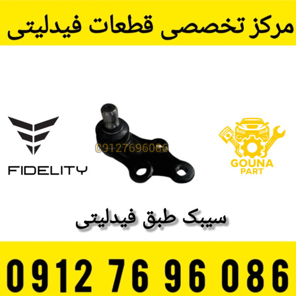 سیبک طبق فیدلیتی