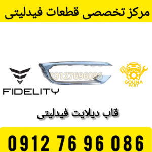 زه استیل دیلایت فیدلیتی