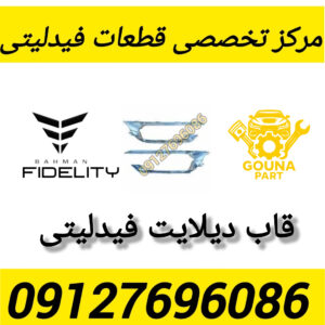 زه استیل دیلایت فیدلیتی