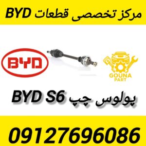 پولوس چپ BYD