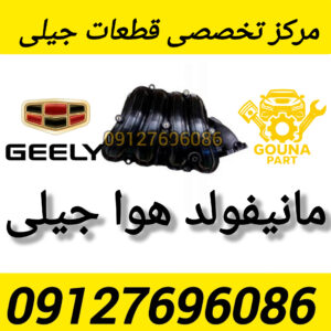 مانیفولد هوا جیلی