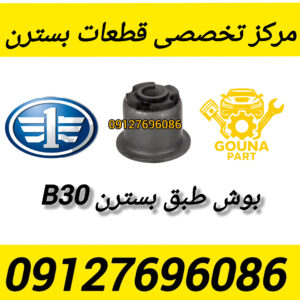 بوش طبق بسترن b30